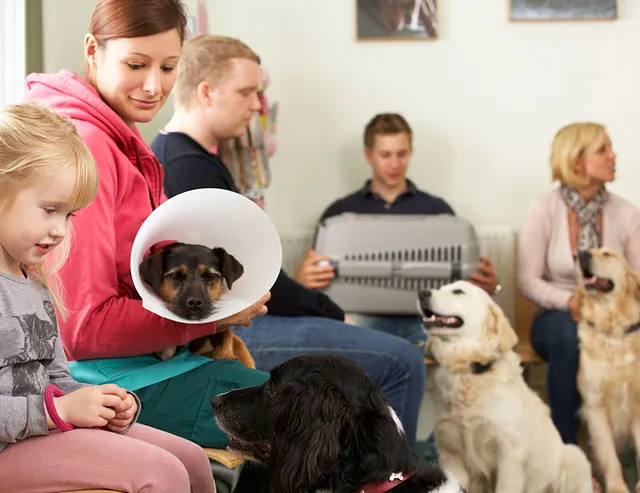 sala de espera clínica veterinaria